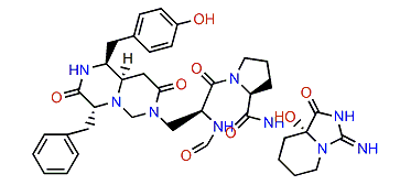 Pseudotheonamide B2